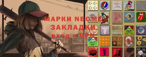 шишки Среднеколымск