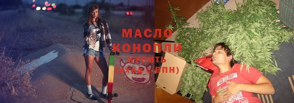 индика Болхов