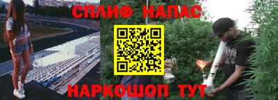 стаф Абакан