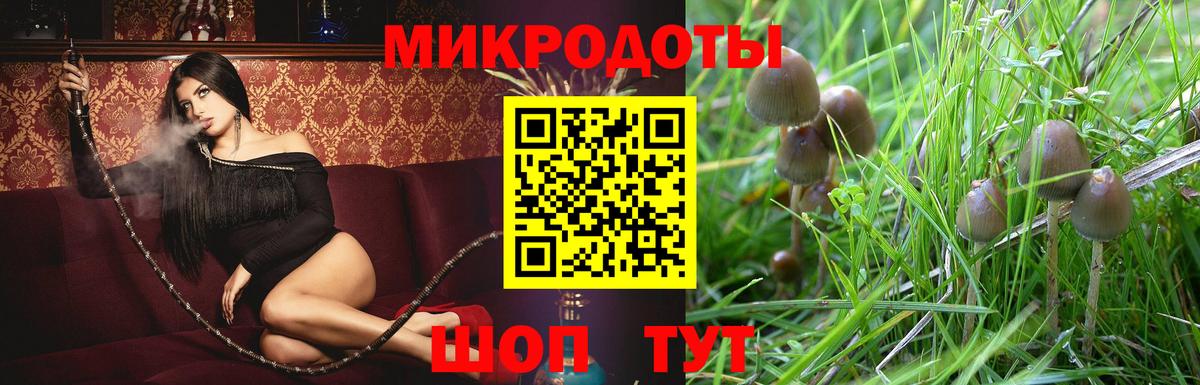 Галлюциногенные грибы GOLDEN TEACHER  Крымск 