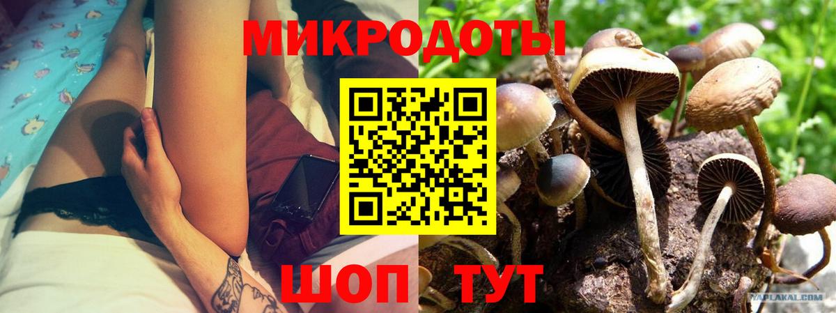 Крымск  Псилоцибиновые грибы прущие грибы  Вход с VPN  наркота  Псилоцибиновые грибы MAGIC MUSHROOMS 