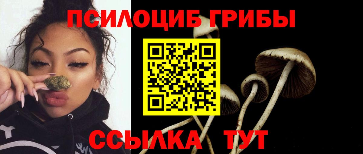 Галлюциногенные грибы Psilocybe Крымск